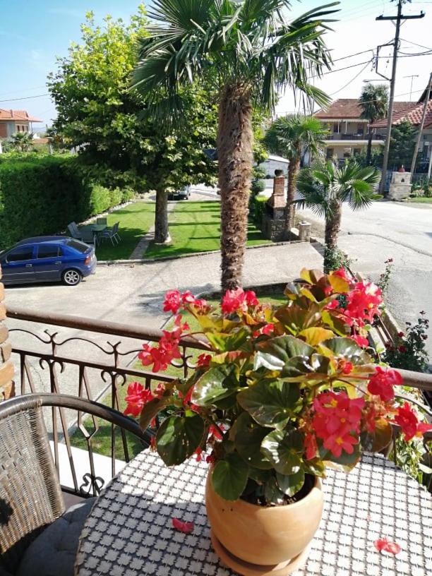 Guesthouse Athanasiou Káto Loutrákion Exterior foto